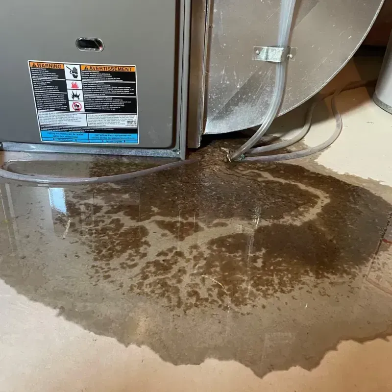 Appliance Leak Cleanup in Sparks, GA